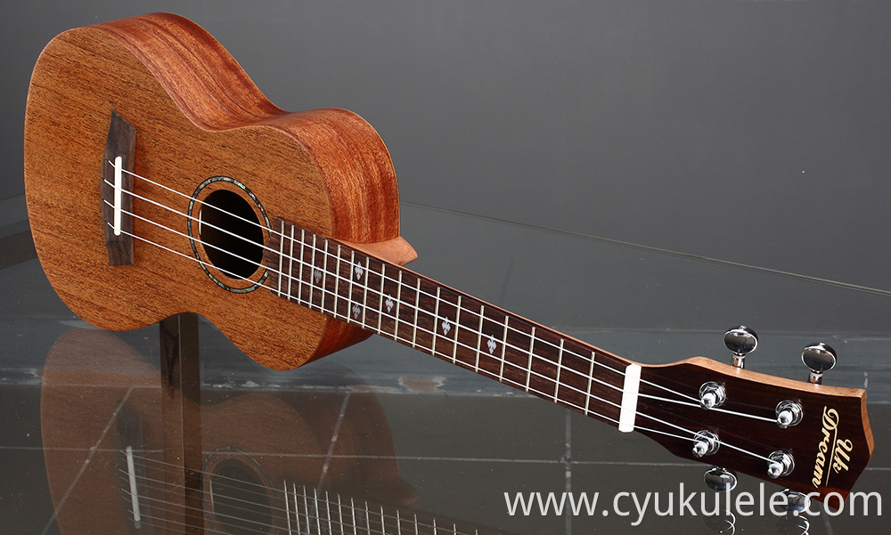 ukulele17
